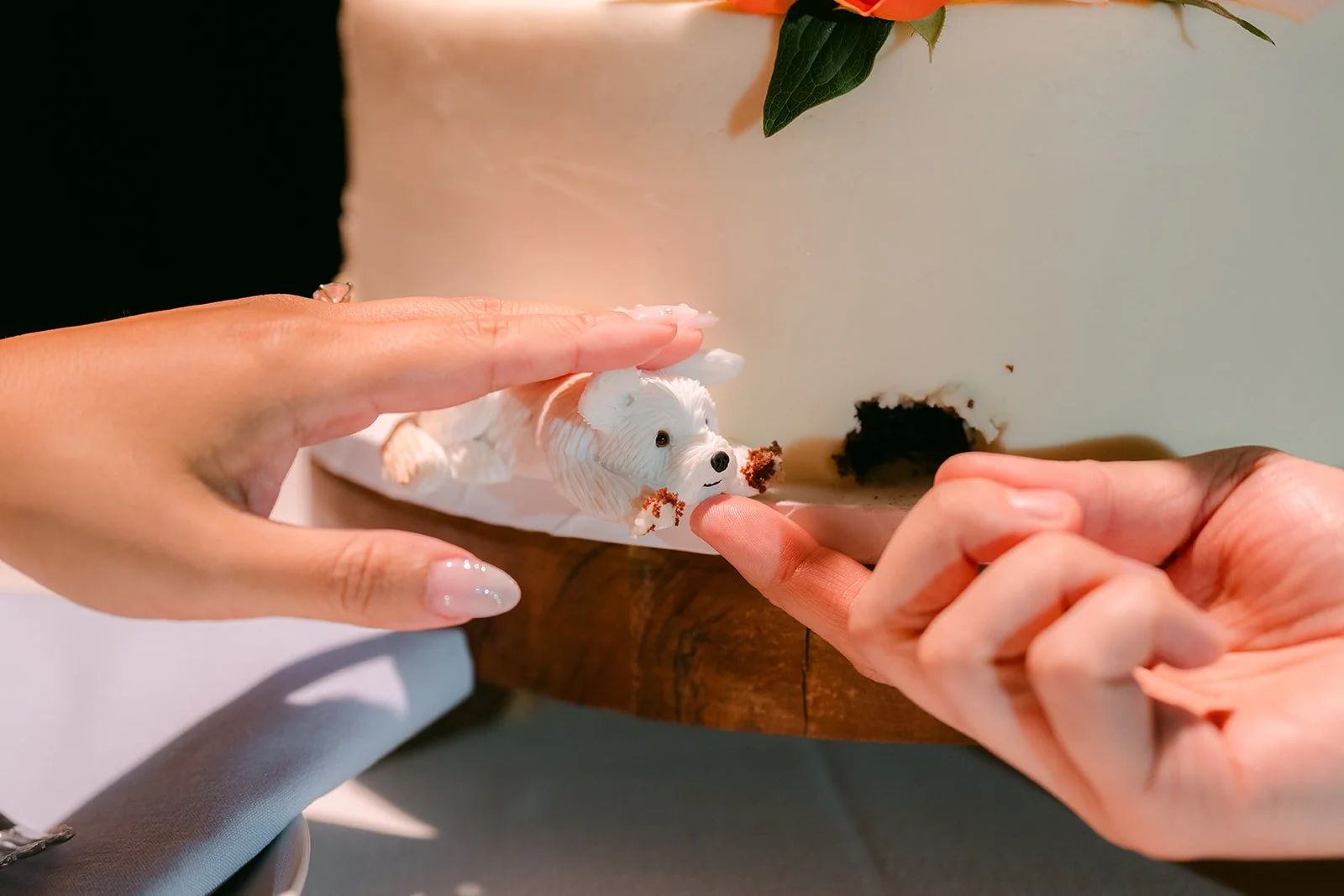 A playful pup moment at the cake cutting