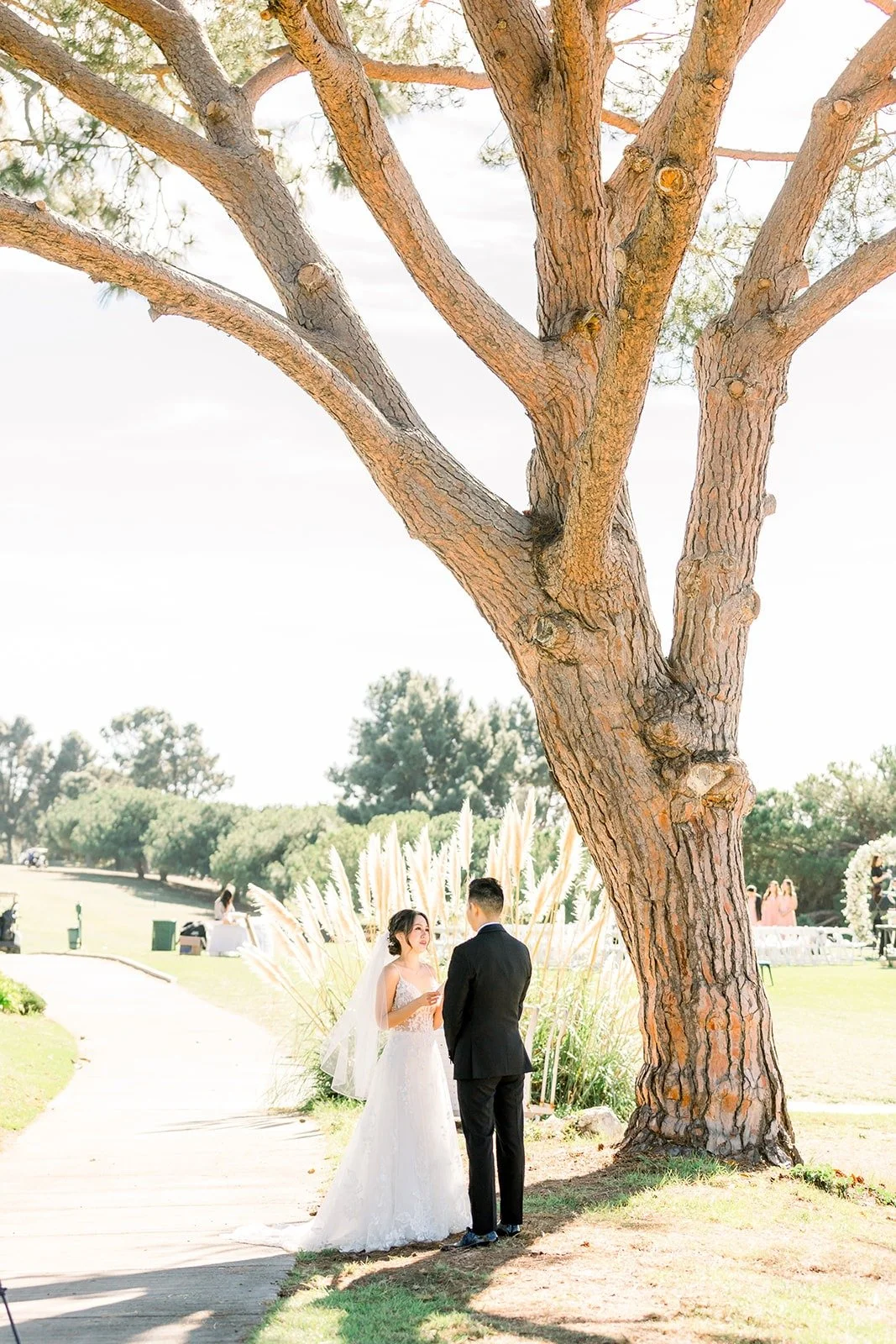 Wide view of Josephine and David under the sprawling pine