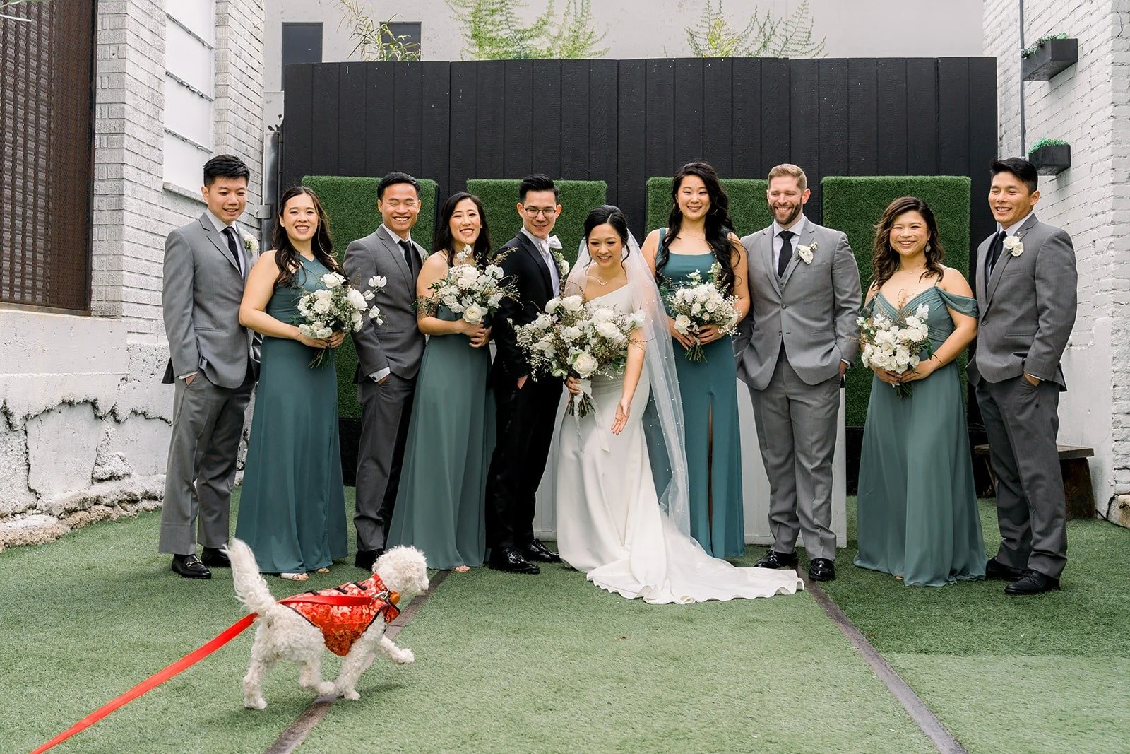 The full wedding party on the courtyard turf with the white dog