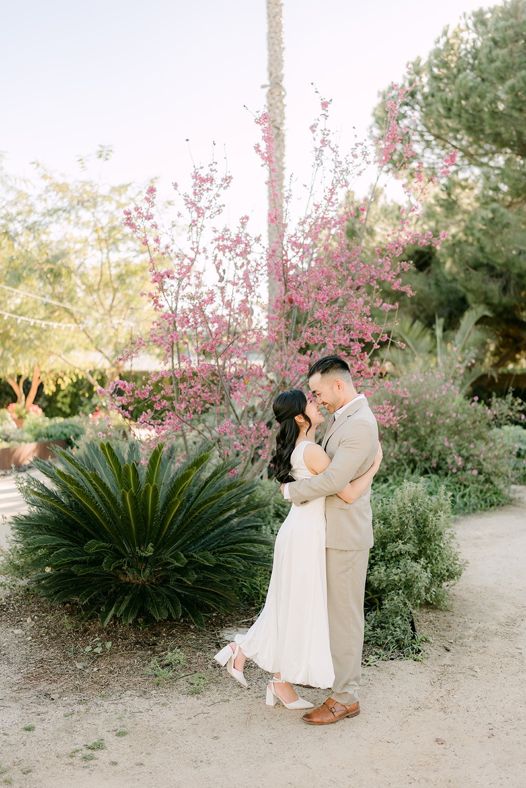 Kim and Vincent kissing on the path with a tall palm and agave behind them.