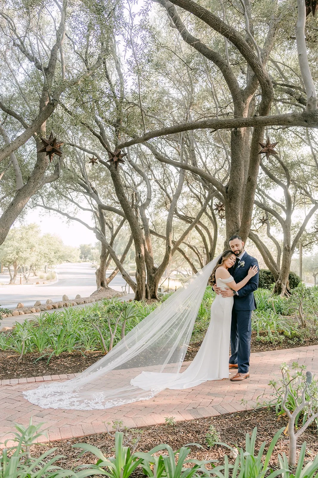 Mariana and Danny kissing on the brick path as her veil drifts across the olive grove