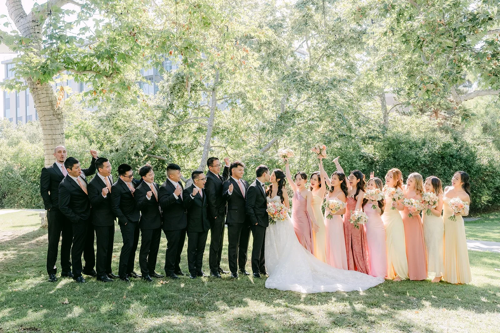 Wide view of the wedding party on the lawn