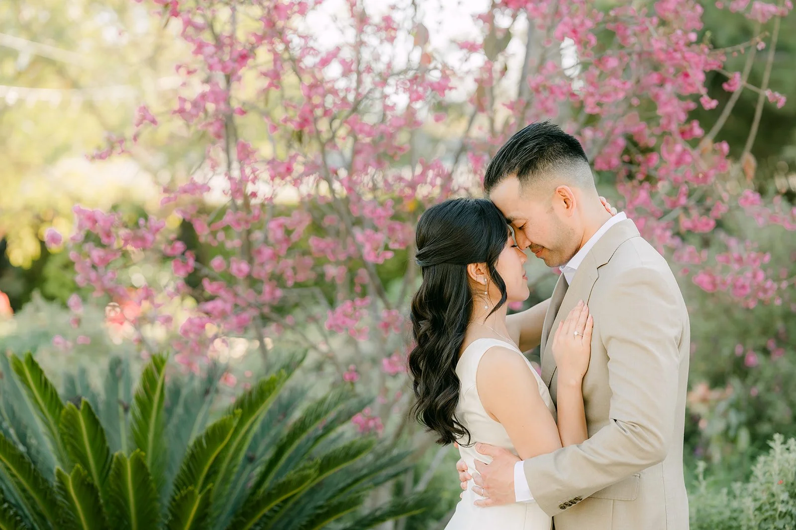 Kim and Vincent embracing beside a tree covered in pink blossoms.