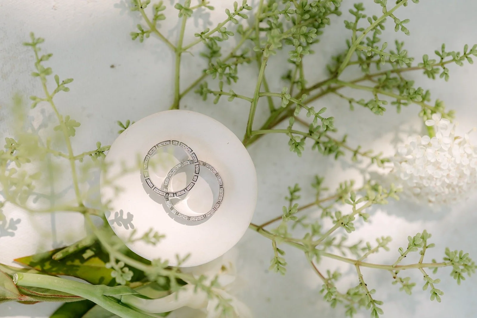 Wedding bands in a clear ring box with greenery