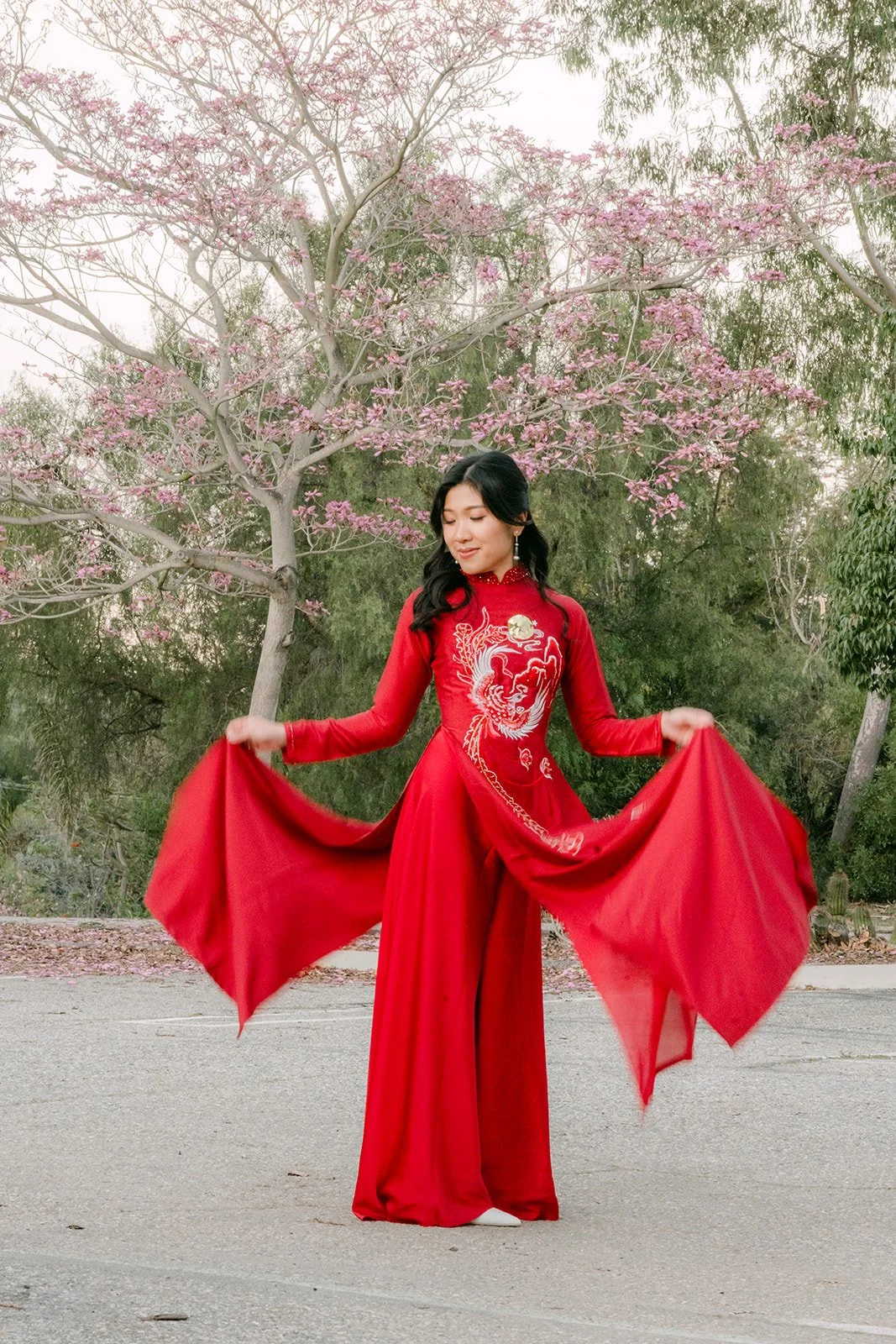 Kim spreading the panels of her red ao dai beneath the blossoms.