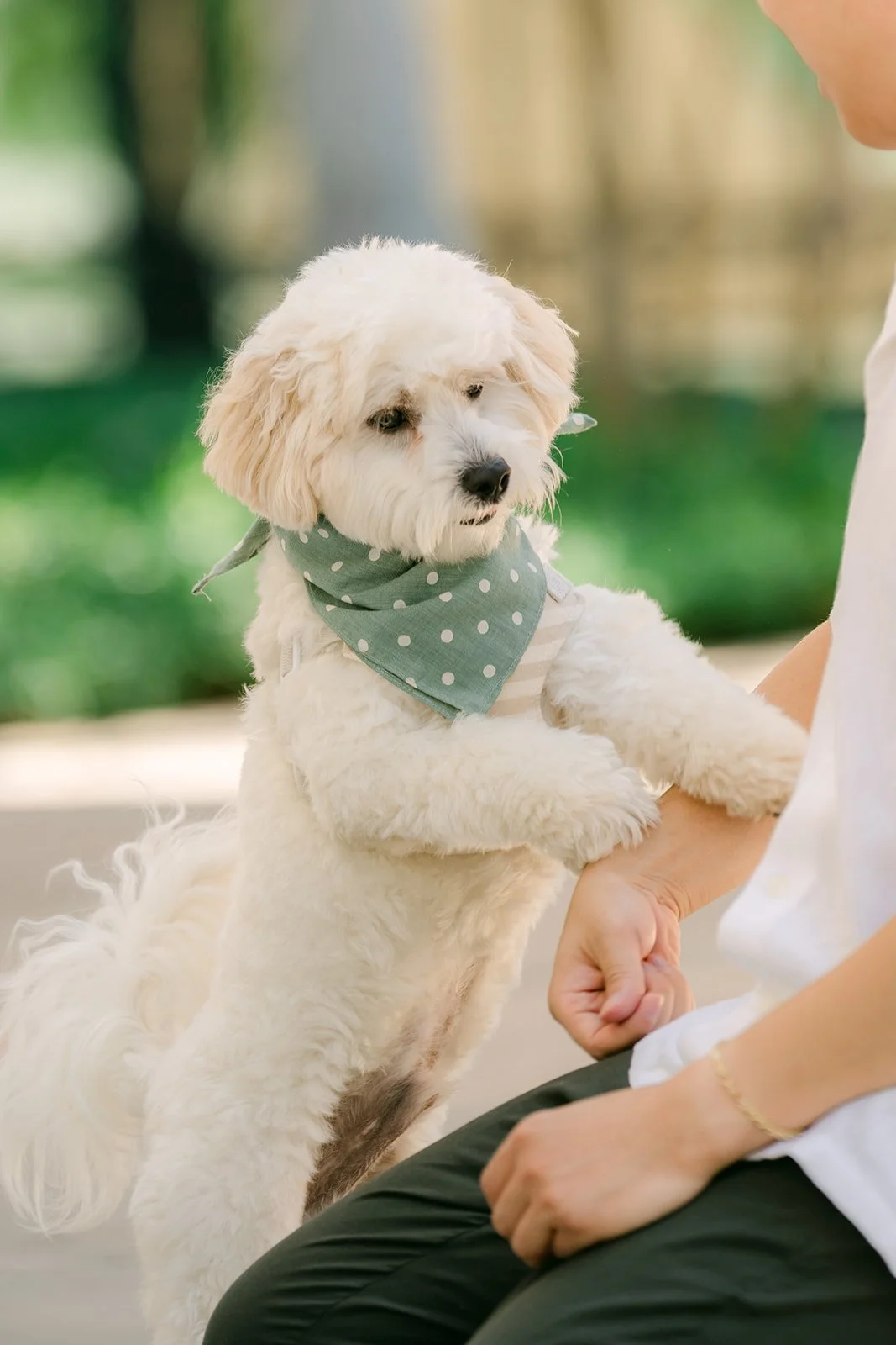 Tofu leans on Alan in his green bandana.