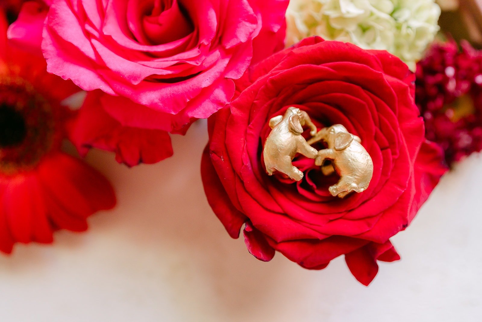 Gold rings tucked into a red rose on the wedding morning flatlay