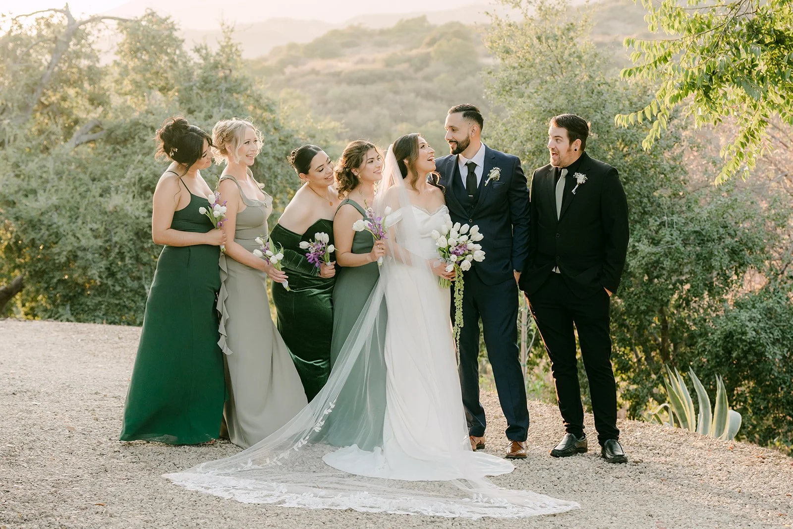 Mariana and Danny with their wedding party in front of the chaparral