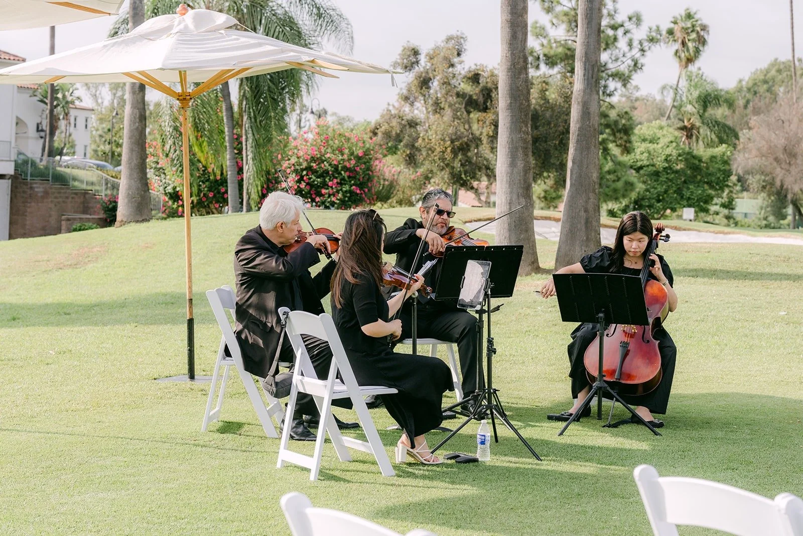 The string quartet playing on the lawn before the ceremony