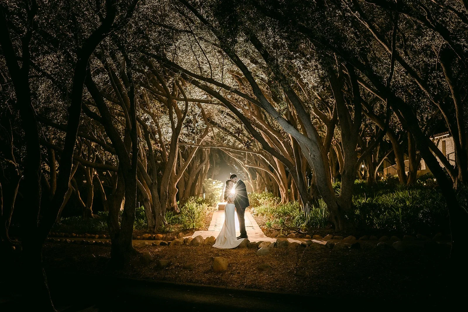 Wide night view of the couple glowing at the end of the olive grove tunnel