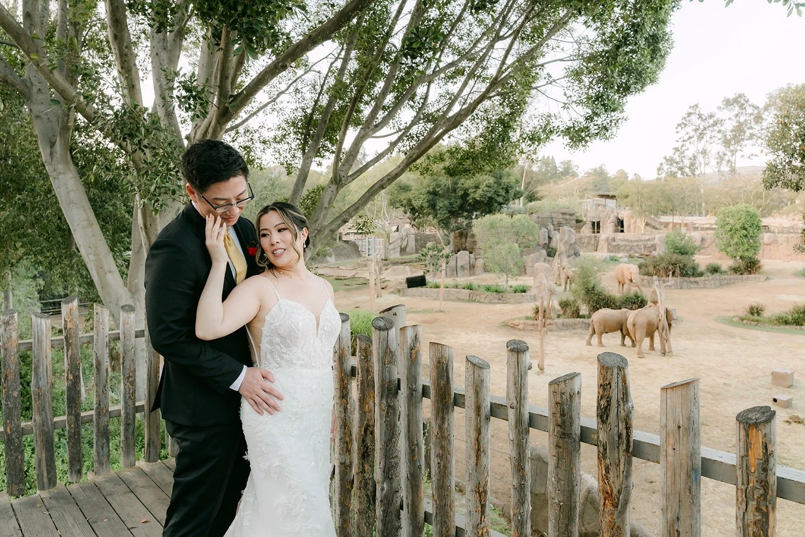 Joanne and Zach at a wooden fence with animals roaming the field behind them