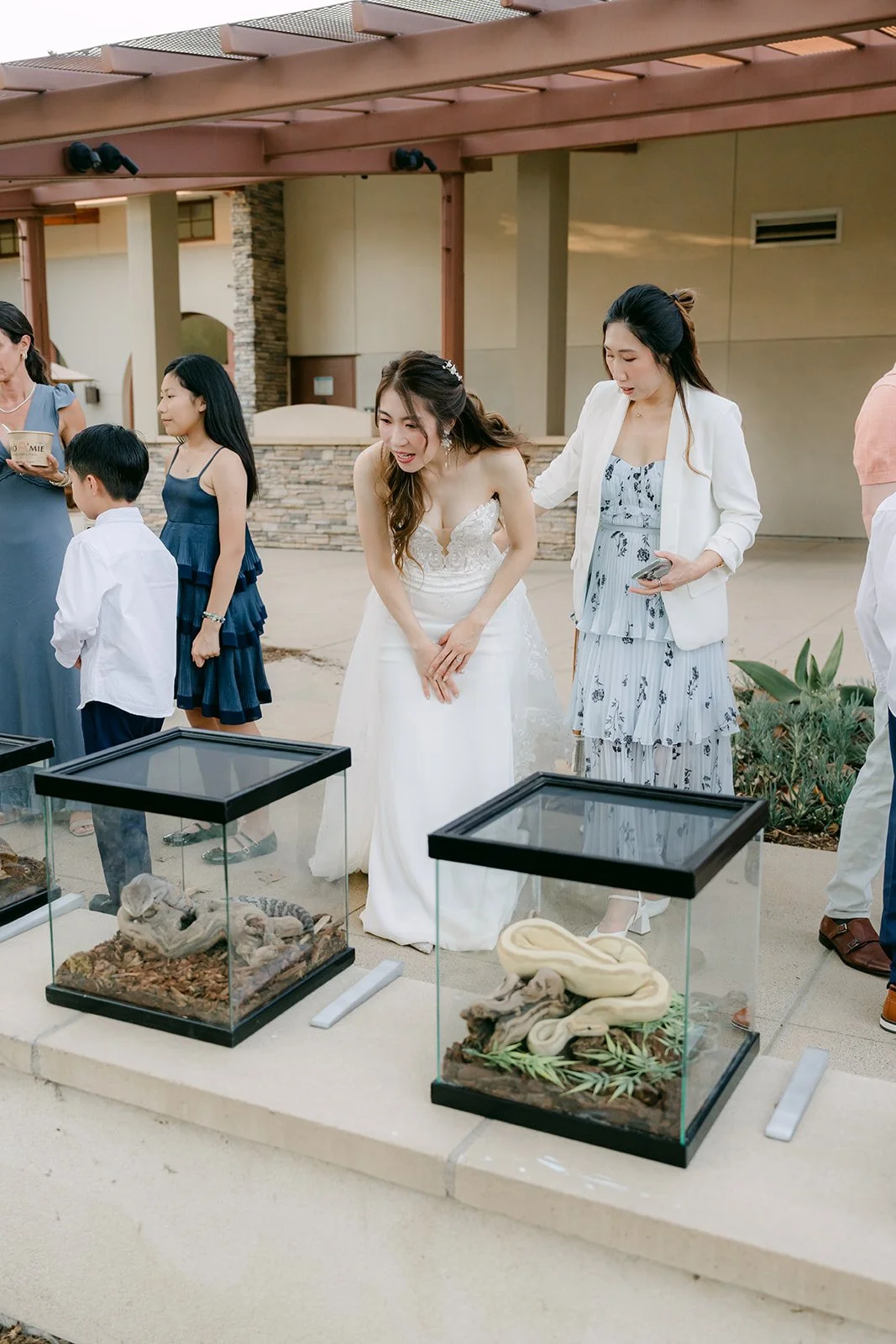 Guests gathered around the reptile display cases on the patio.