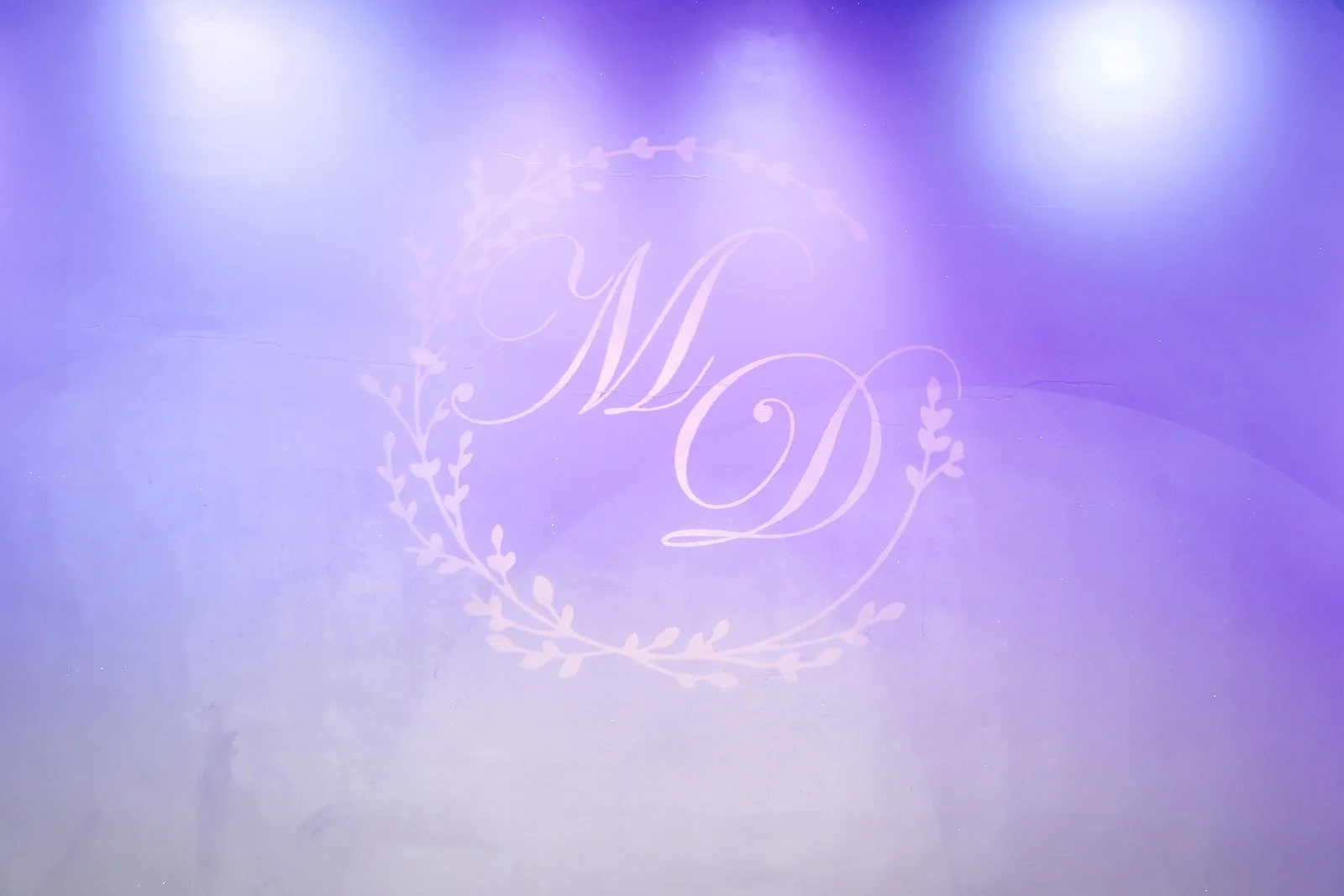 Mariana and Danny's monogram projected on the ballroom wall