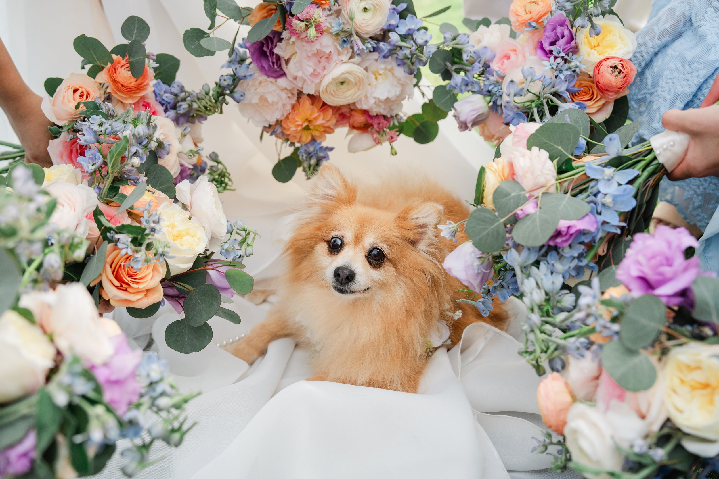 ValerieDannyWedding_SneakPeek_0039.jpg