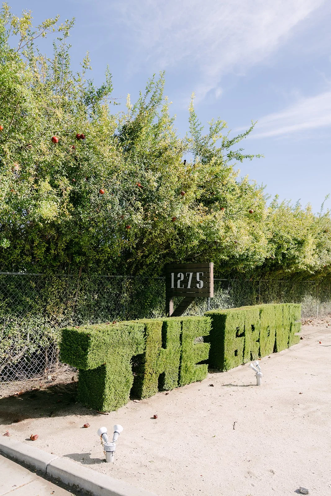 The Grove sign shaped from hedges at the entrance to the venue.