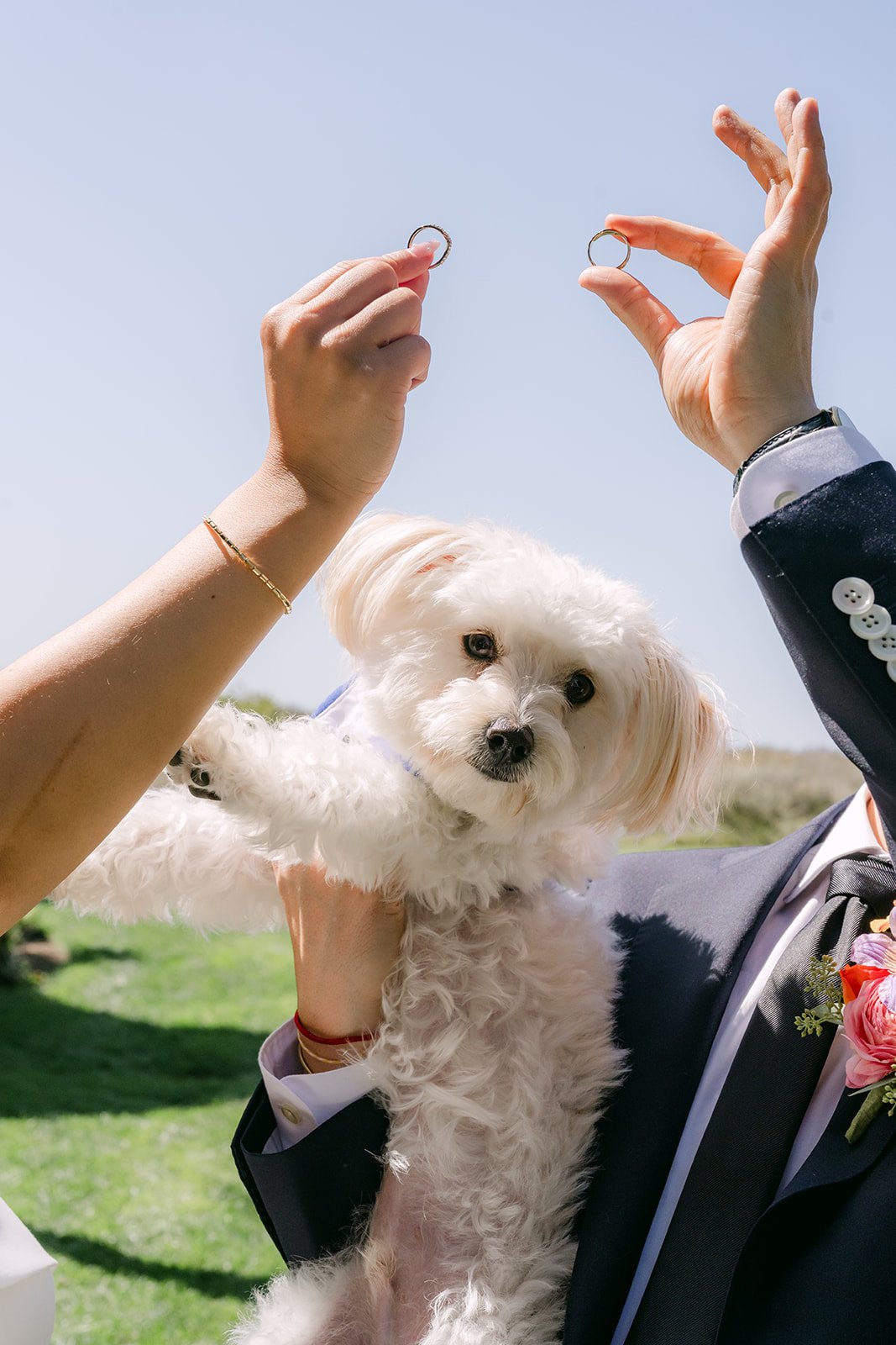 The rings held aloft as the pup looks on