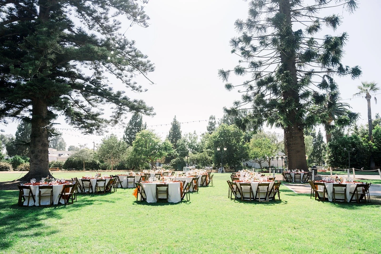 The reception lawn set with long tables under the trees