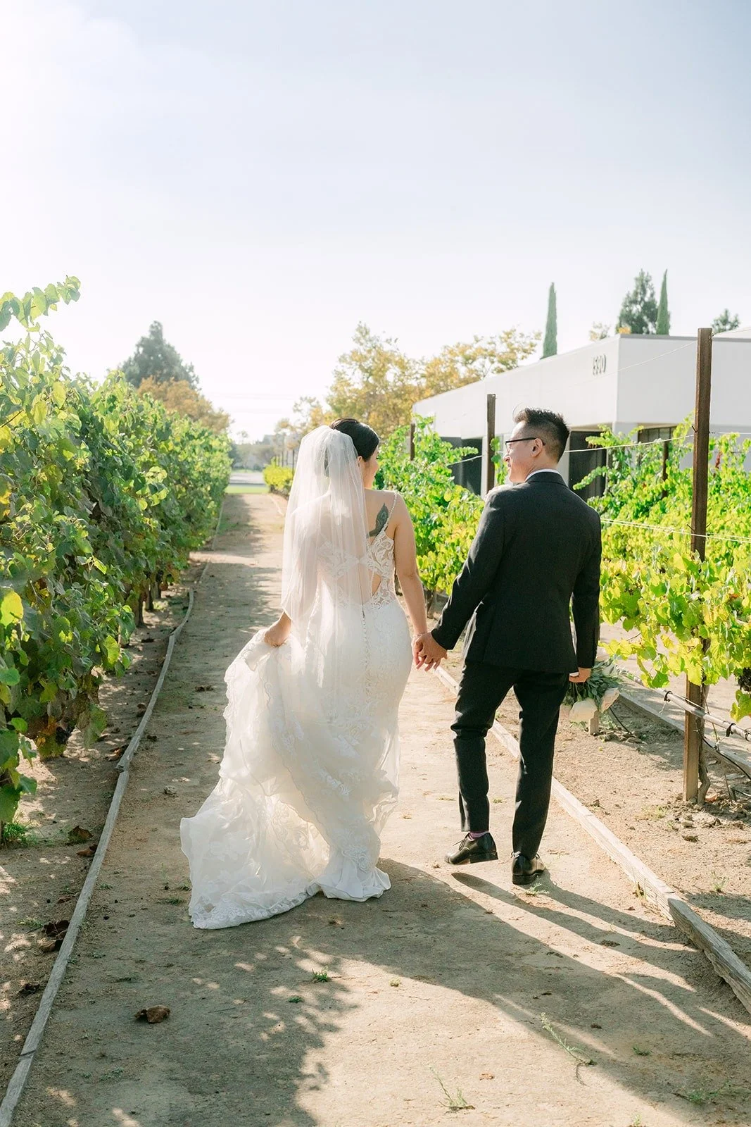 Xuemin and Alex walking away through the vines