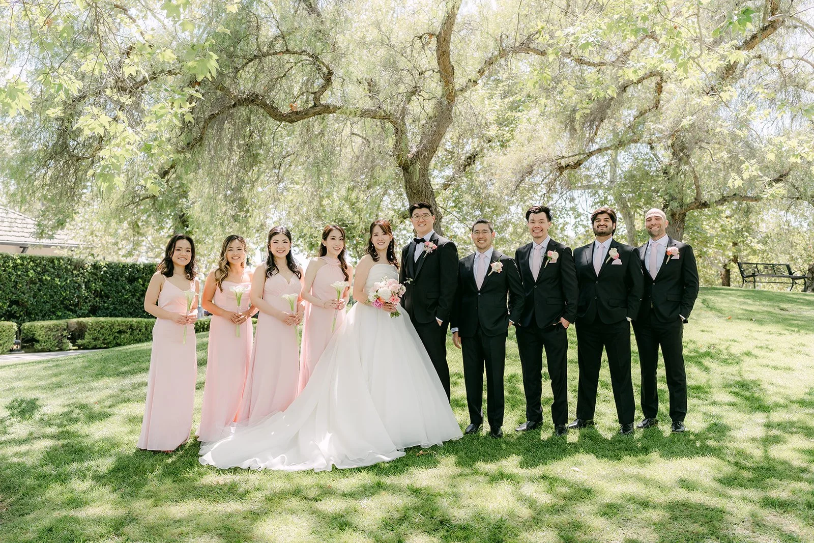 The full wedding party under the sycamore trees