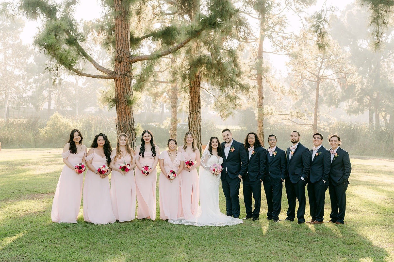 Full wedding party lined up on the lawn, blush pink and navy