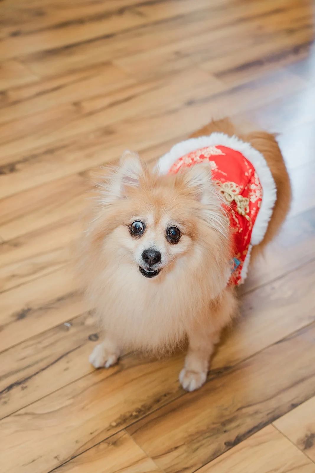 Kohmie dressed in red for the tea ceremony.