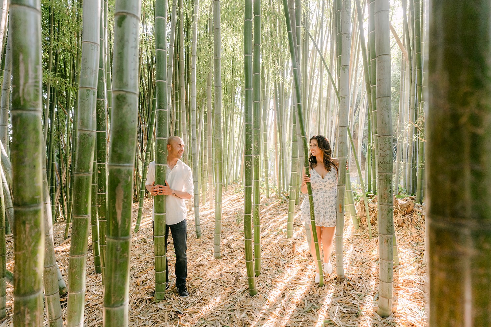 Francesca and Daniel surrounded by towering bamboo, photographed by One and Only Production.