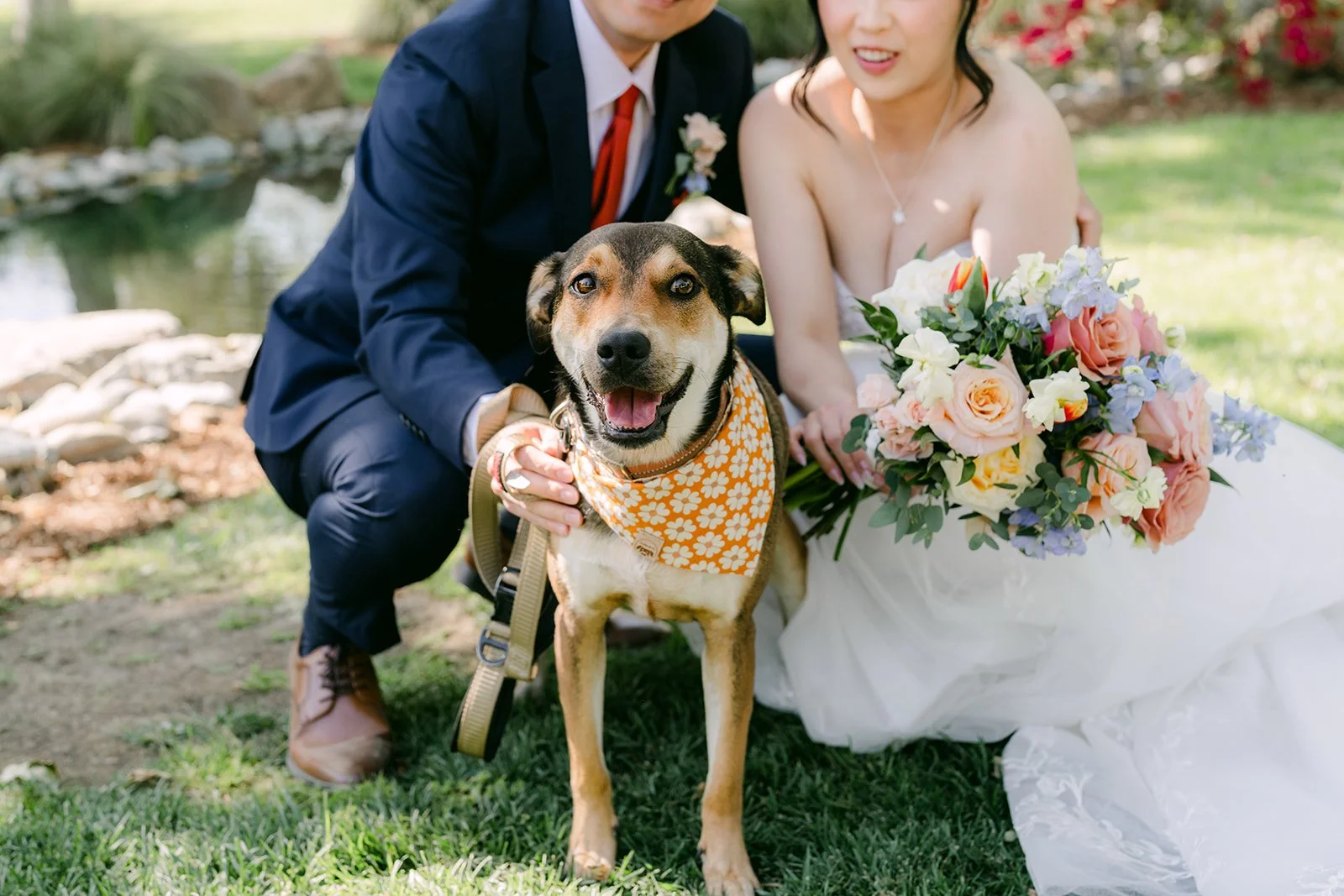 Newlyweds kneeling with Bagel the dog in his bandana
