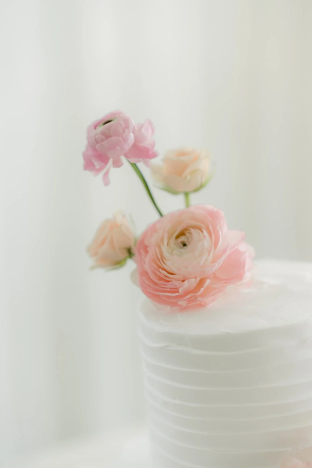 Close-up of ranunculus on the textured white cake