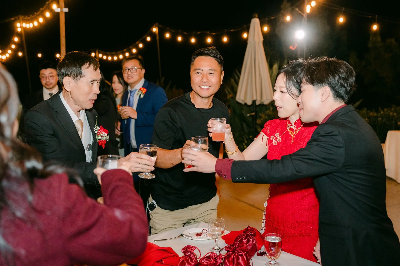 Guests clinking glasses with the couple.