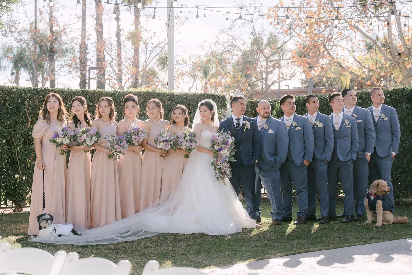 Kate and Michael with their wedding party under the palm trees.