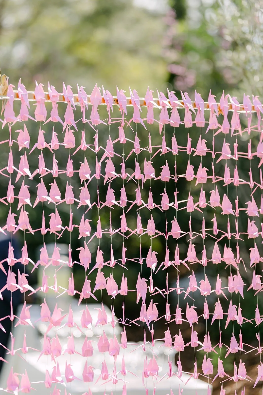 Strands of pink paper cranes hanging in the afternoon sun at Los Robles Greens