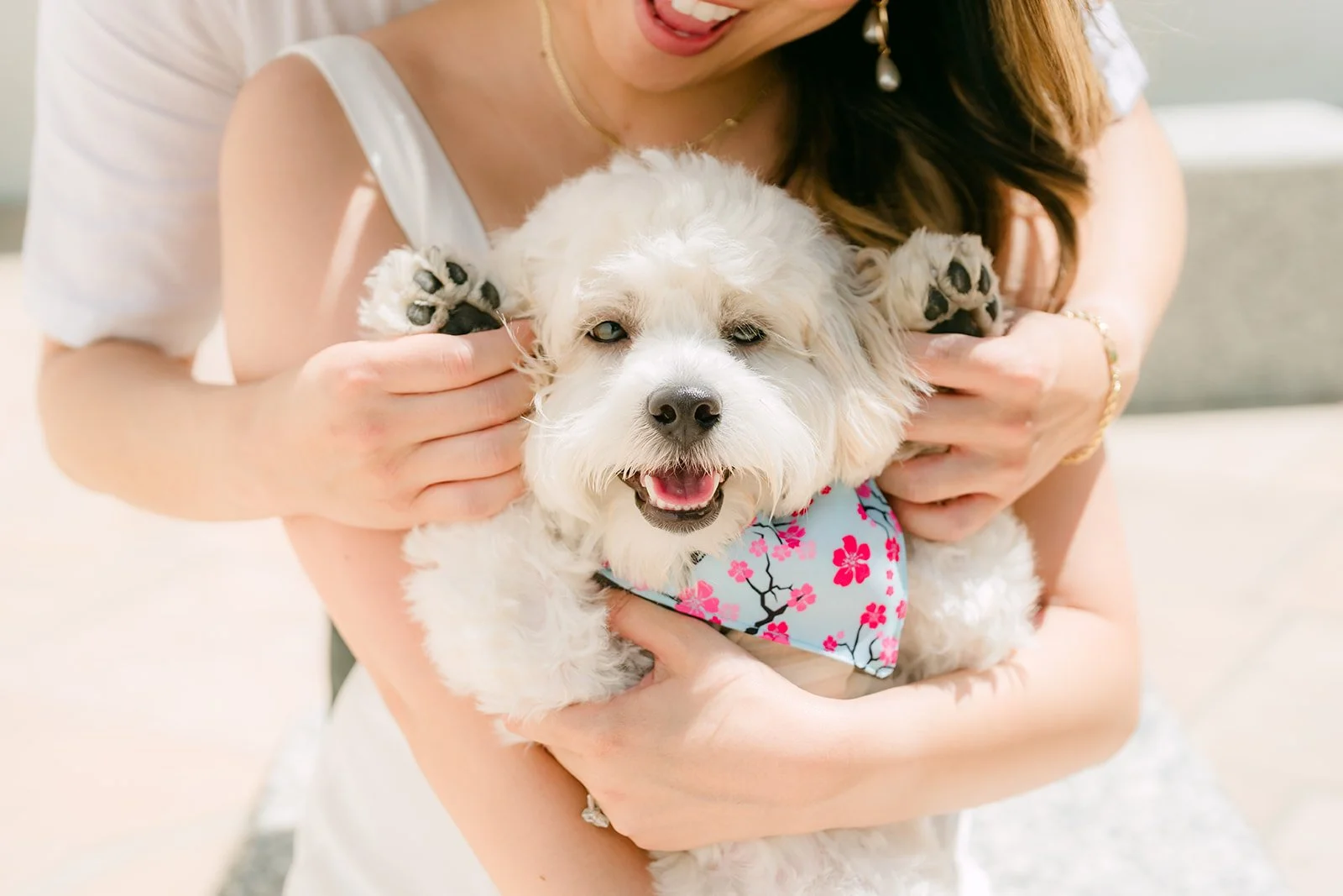 Tofu smiling as Stephanie holds his paws.