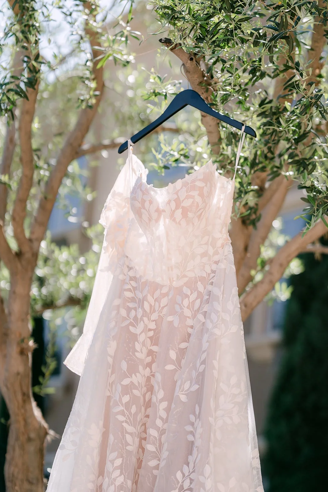 Fernanda's lace wedding gown hanging from a tree at the Ayres Hotel Chino Hills.