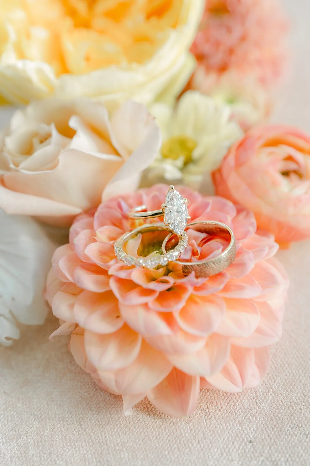 Wedding bands resting on a peach dahlia
