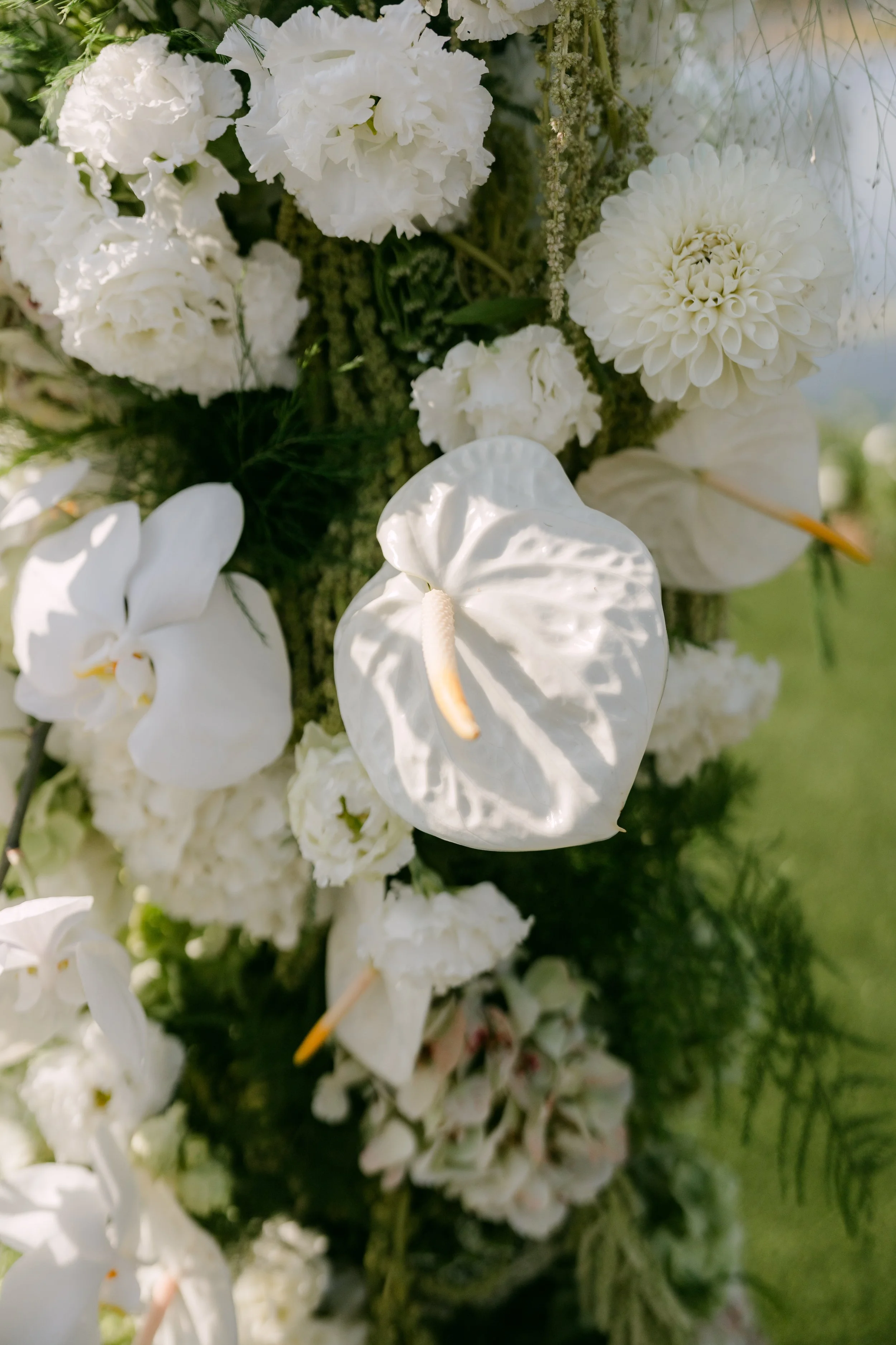 MarinaTylerWedding_SneakPeek_0074.jpg