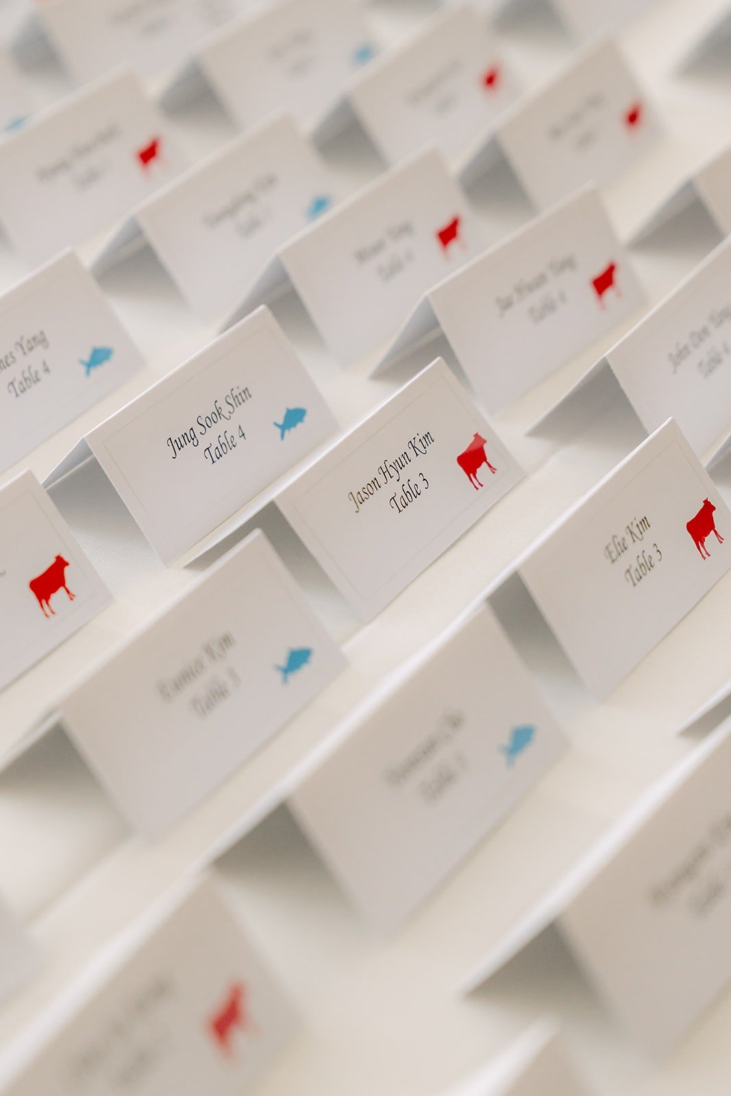 Escort cards lined up for the guests