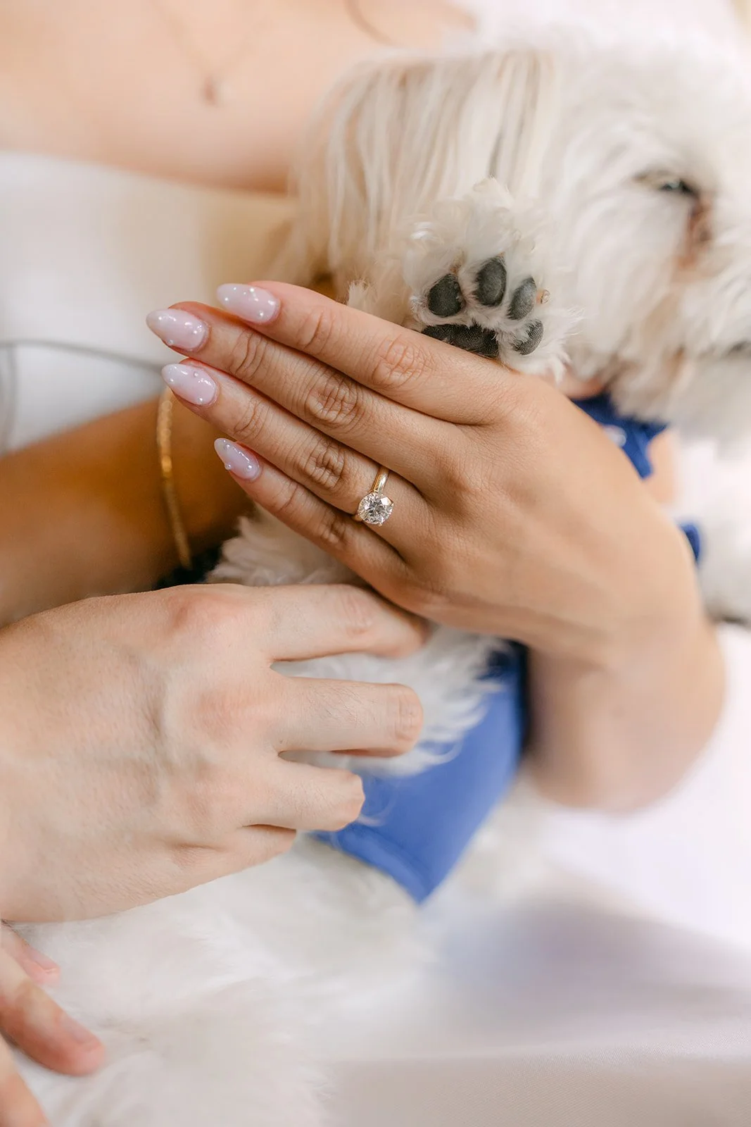 The dog's paw resting in Saya's hand