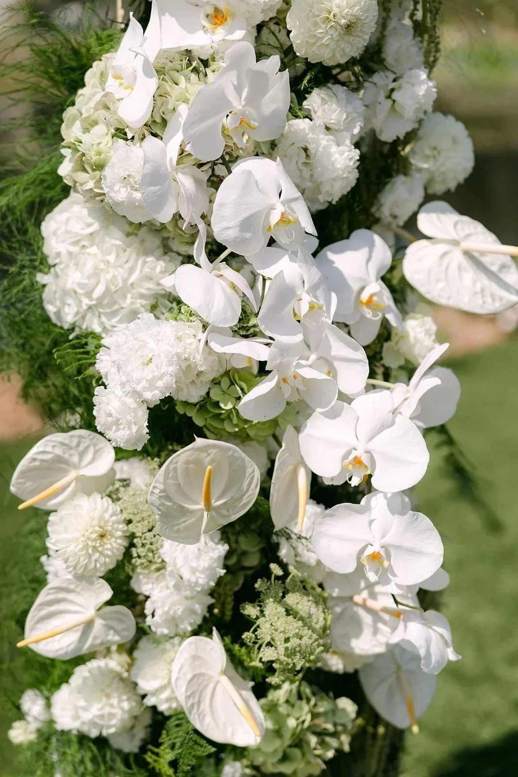 Close up of white orchids, anthurium and hydrangea on the ceremony arch