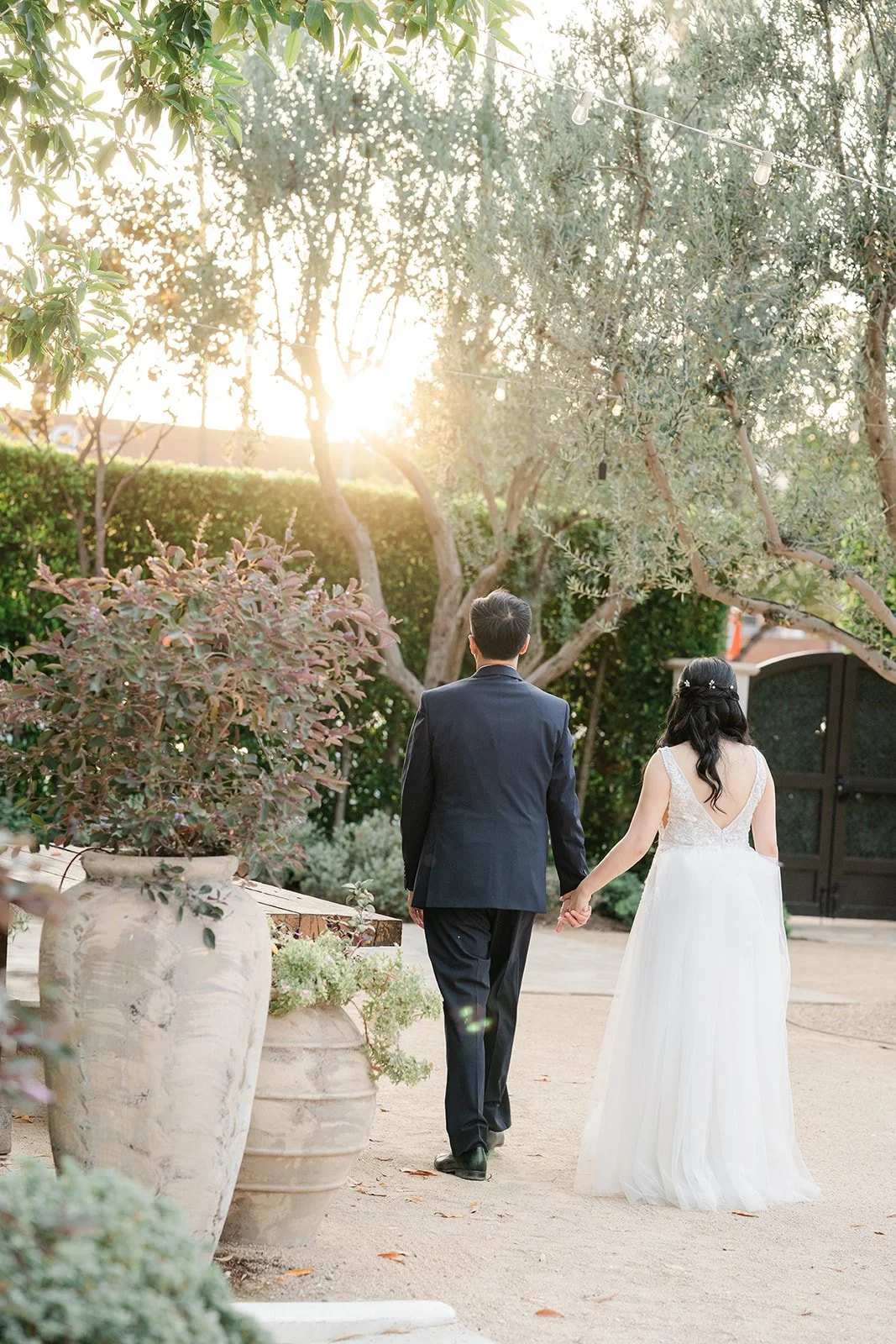 Couple walking under the olive trees with the sun behind them