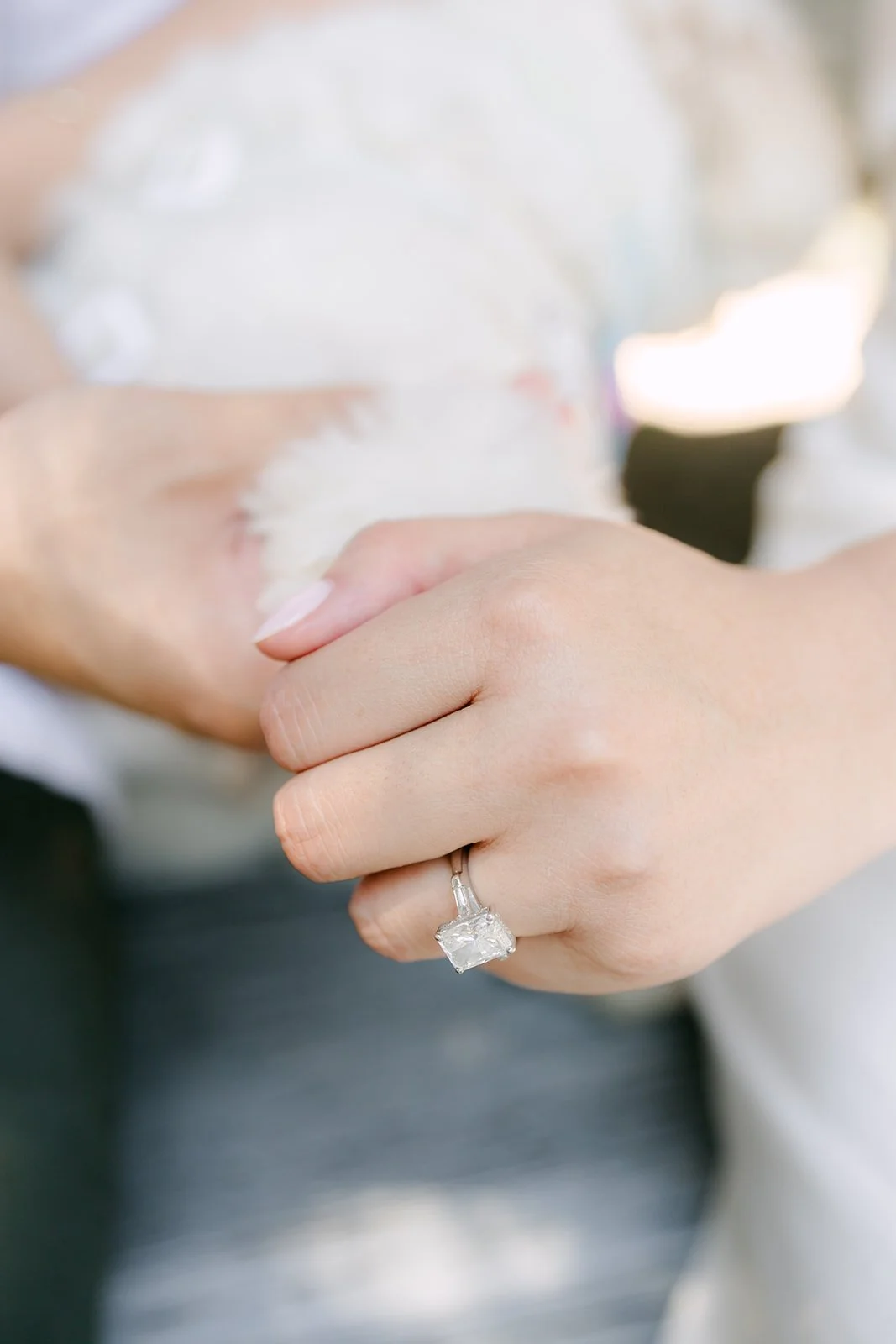 Detail of Stephanie's engagement ring as she pets Tofu.