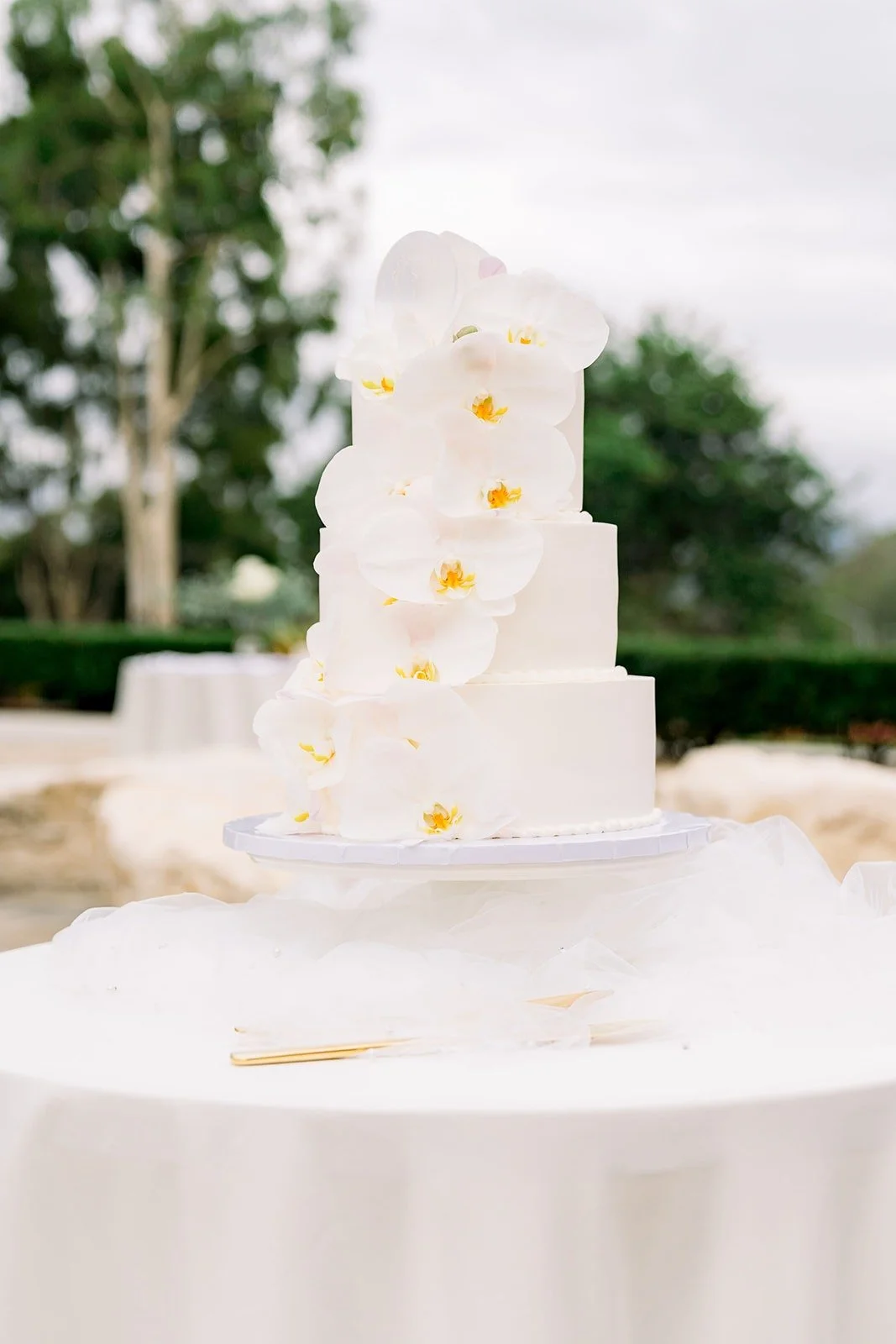 A tiered white cake decorated with orchids