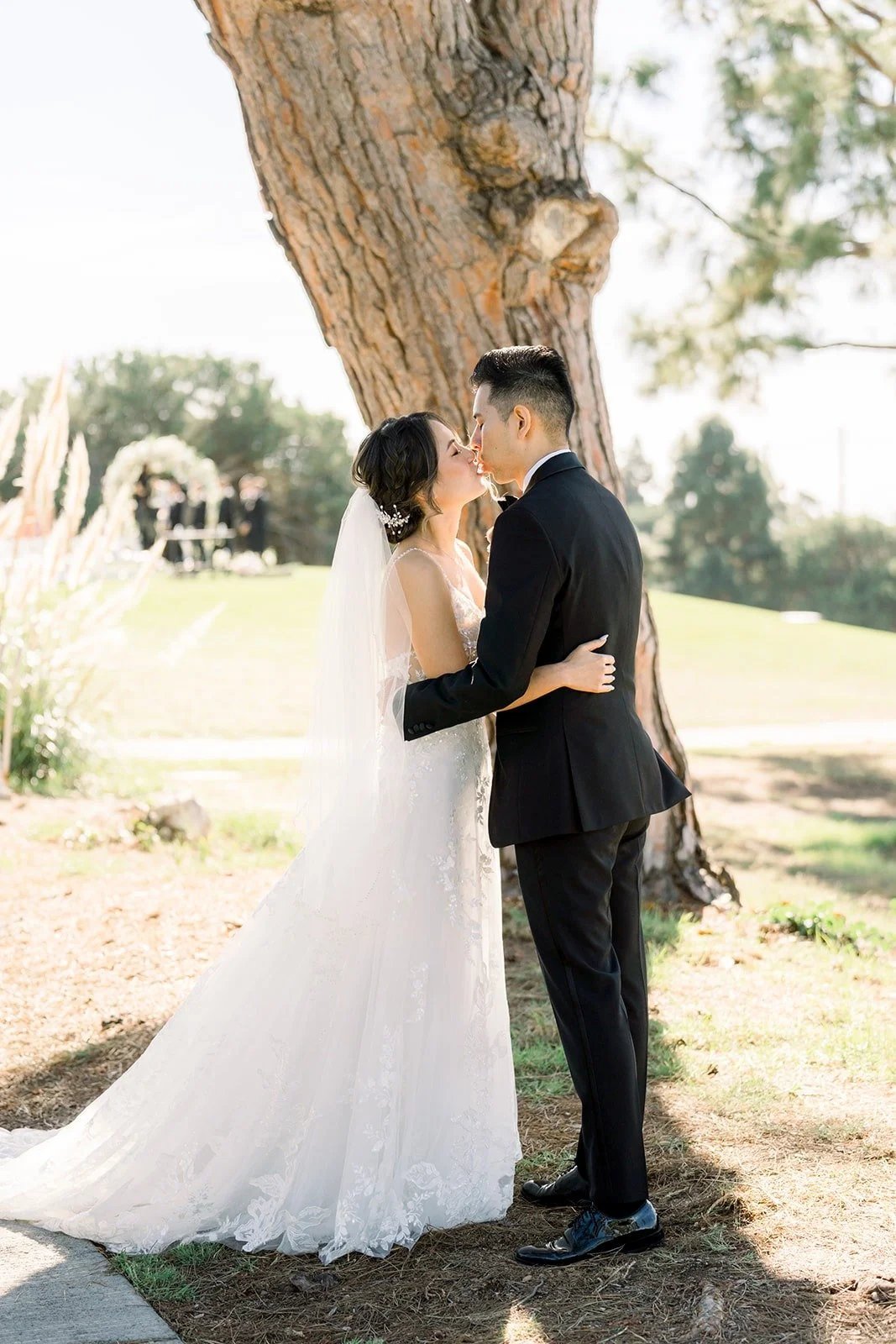 Josephine and David kissing beside the pine tree trunk