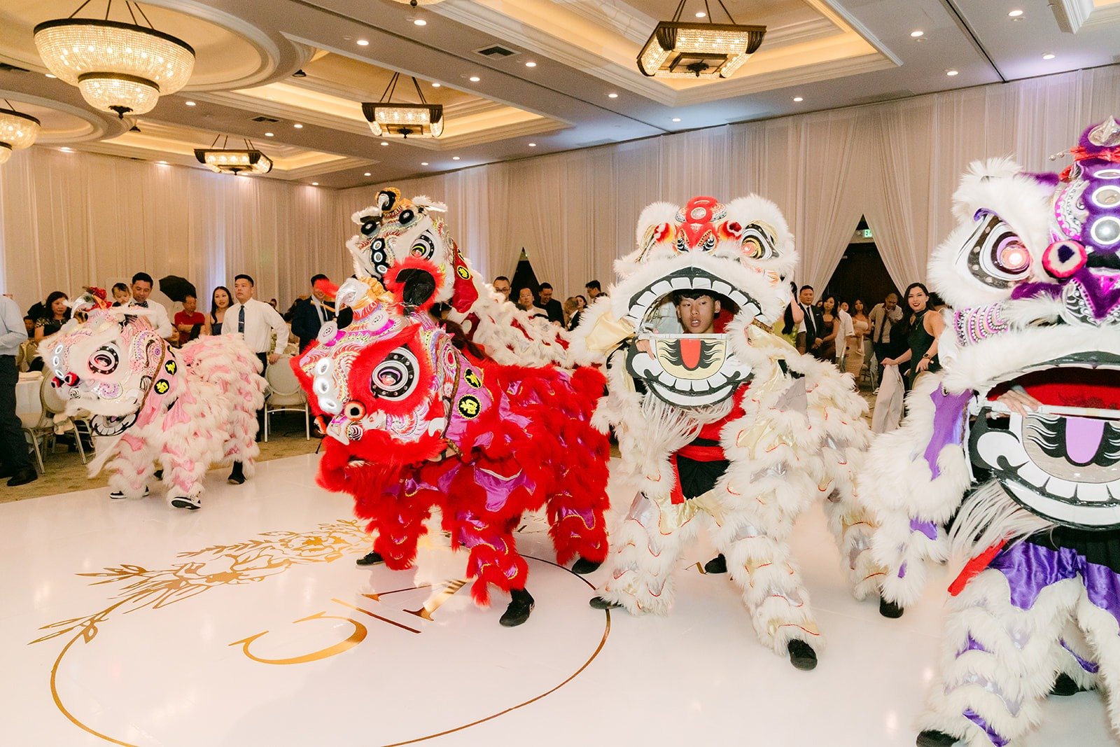 Lions performing on the monogrammed dance floor