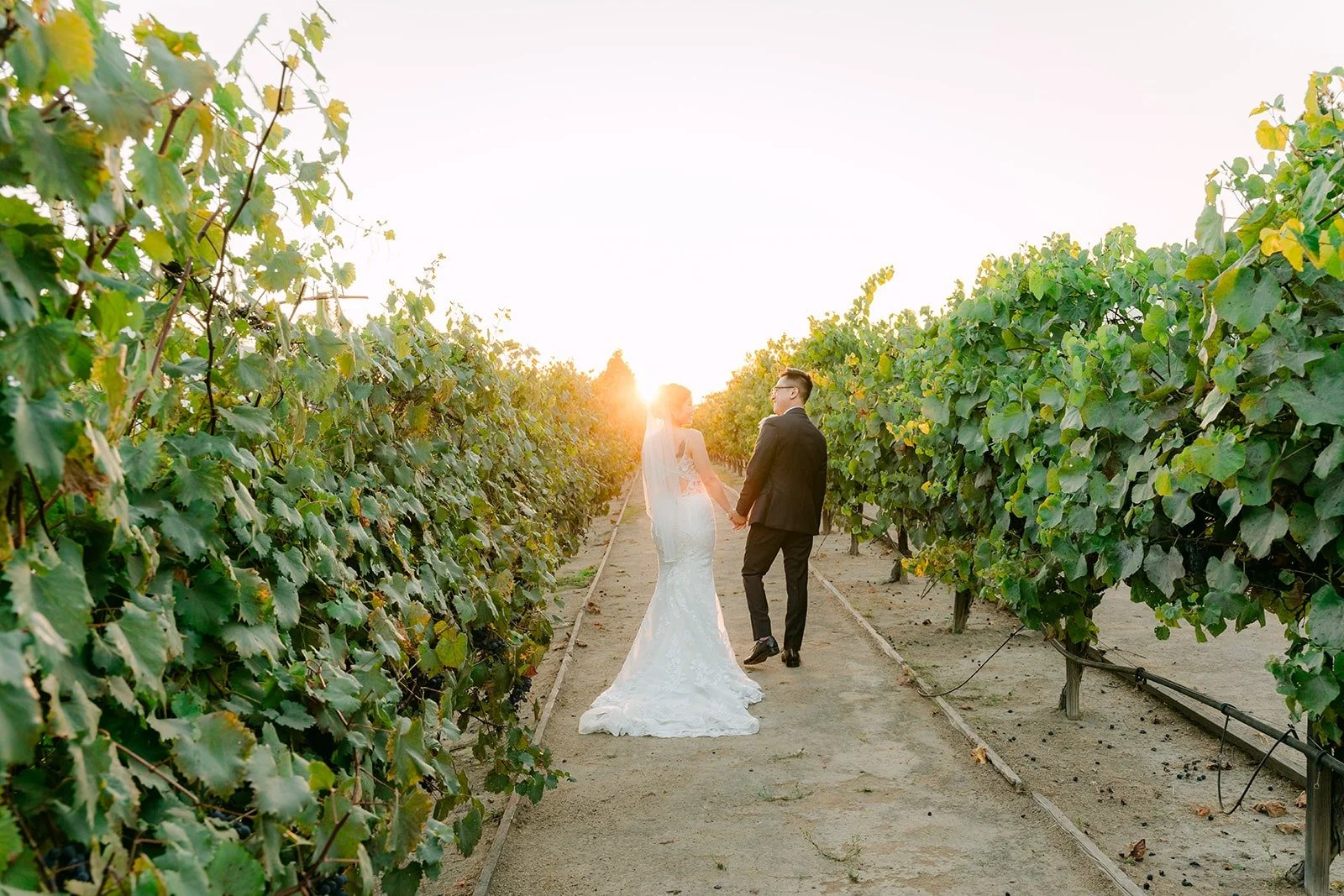 Xuemin and Alex at the end of a vineyard row at sunset