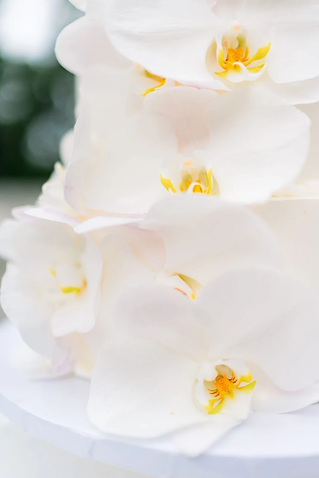 Close up of white orchids on the cake