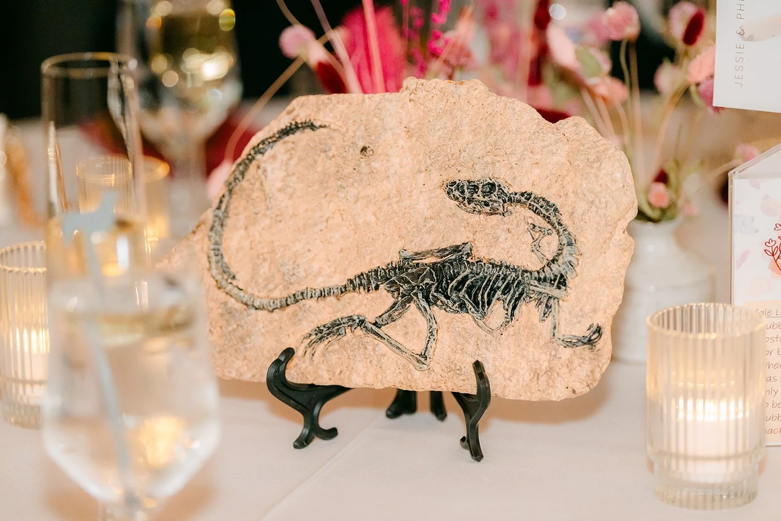 A table card with a fossil illustration