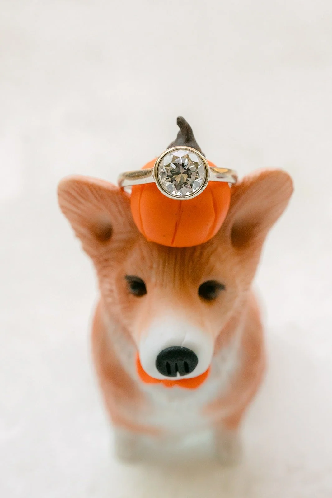 Engagement ring balanced on the head of a little corgi figurine