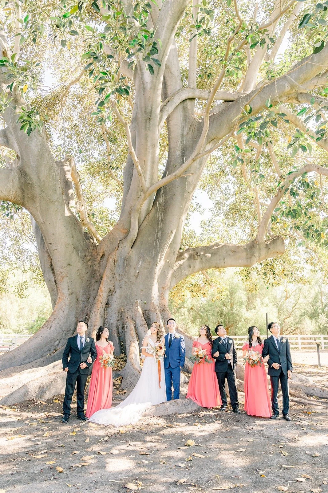 Wide view of the wedding party under the tree