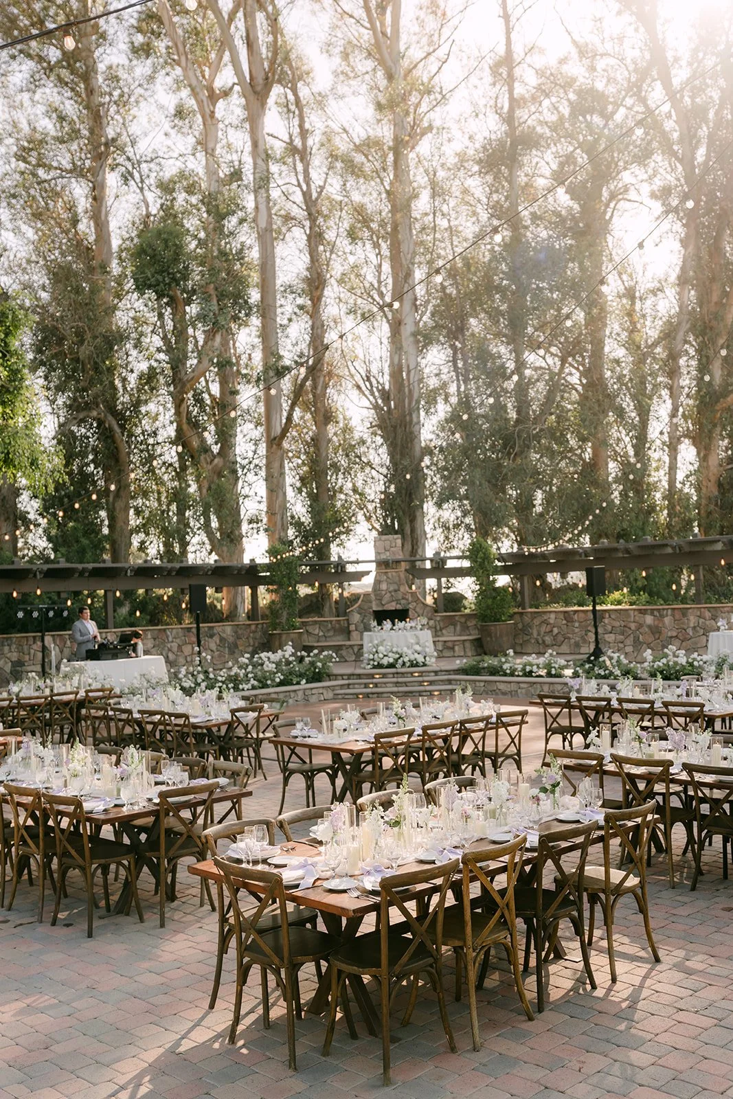 Reception tables framed by tall eucalyptus trees