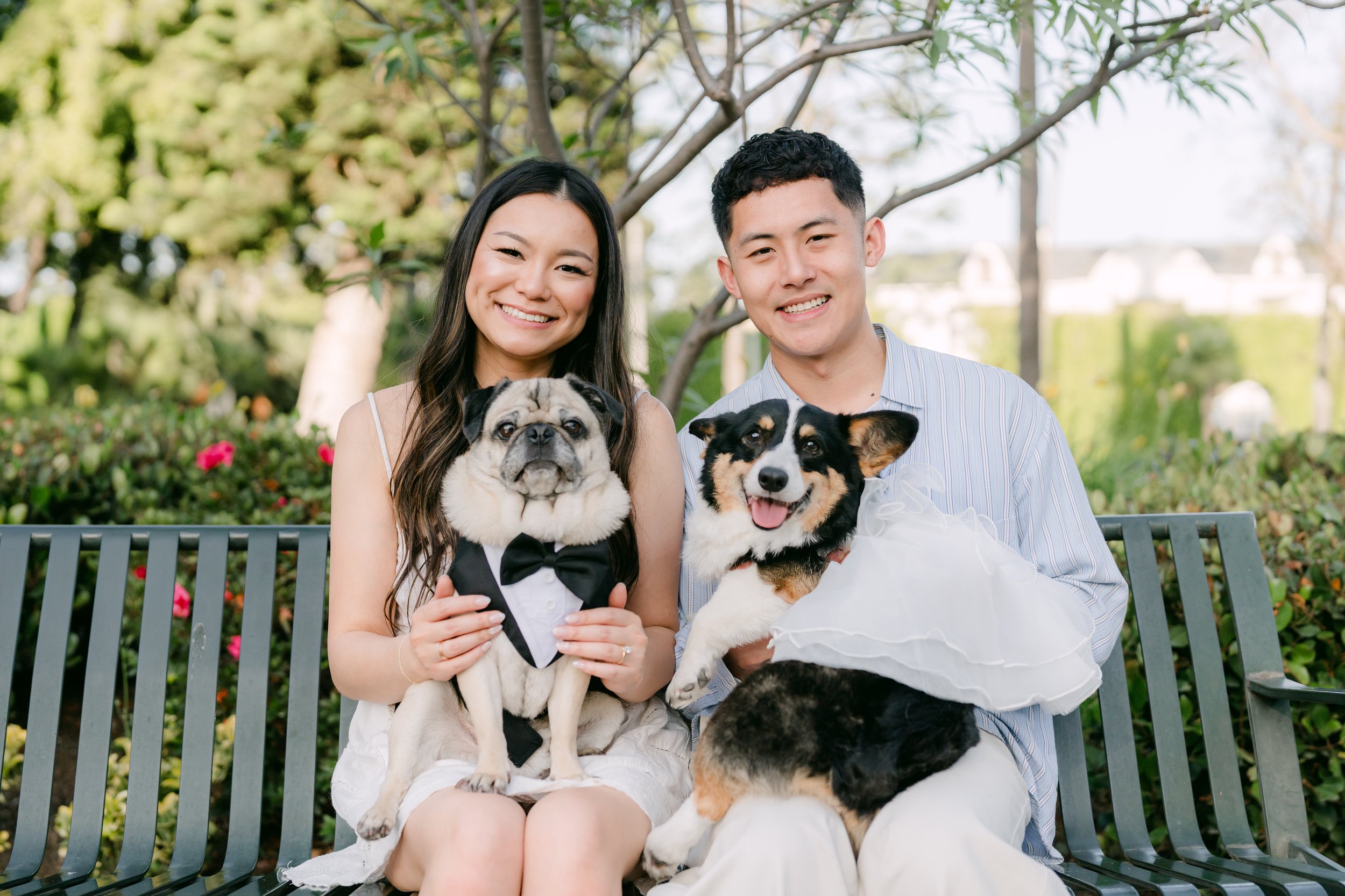 A smiling woman and man sitting on a park bench holding dogs, one dressed in a tuxedo and bow tie, with trees and greenery in the background.